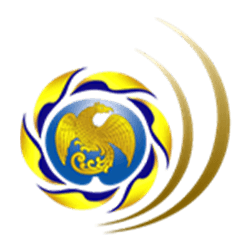 logo 12
